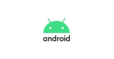 Latest Android Version: What's New in the Update | Optimum