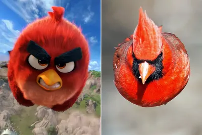 Angry Birds soars to top of US box office - BBC News
