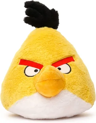 Real-life Angry Bird is at large