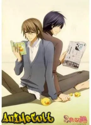 Пенал школьный с артом Junjou Romantica - купить недорого