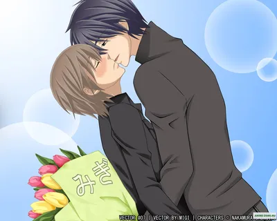 Пенал школьный с персонажами Junjou Romantica - купить недорого