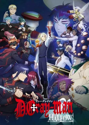 What Happened to the D Gray Man Anime?