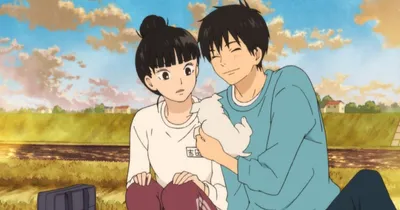 Kimi ni Todoke / Аниме