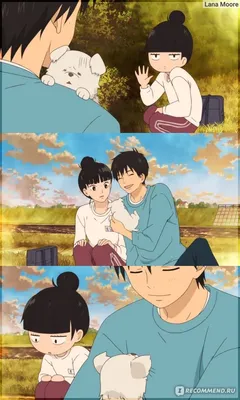 Kimi ni Todoke 2nd Season / Аниме