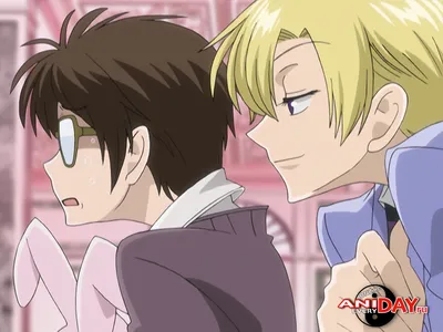 Ouran Koukou Host Club / Аниме