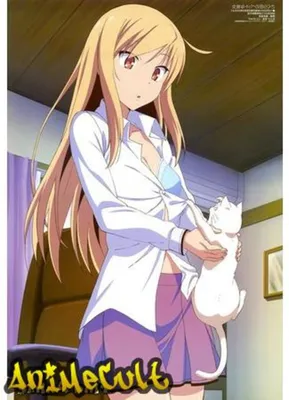 Смотреть Аниме Кошечка из Сакурасо | The Pet Girl of Sakurasou | Sakurasou  no Pet na Kanojo бесплатно онлайн