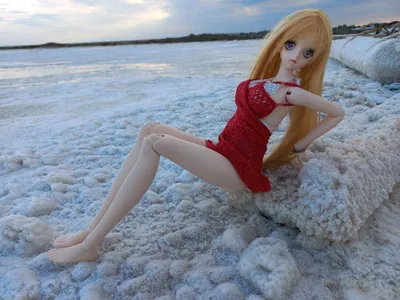 Шарнирная кукла - Аниме кукла шарнирная Dream Fairy купить в Шопике |  Санкт-Петербург - 940106