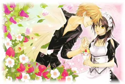 Рецензия от MrJerk / Рецензии / Kaichou wa Maid-sama! / Аниме