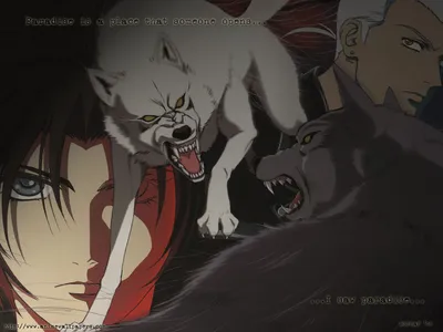 Eyes on Fire by Akadafeathers on DeviantArt | Wolf's rain, Anime wolf, Anime