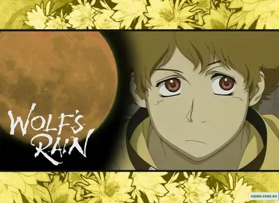 Картинки по запросу волчий дождь чеза арт | Wolf's rain, Anime wolf, Rain  art