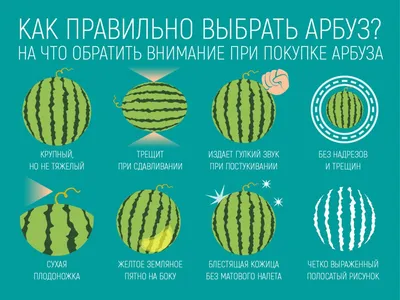 Арбуз с бесплатной доставкой на дом из «ВкусВилл» | Москва и вся Россия