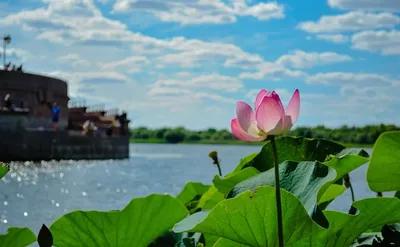 В Астрахани открывается фотовыставка Елены Кустовой — Астраханский  областной научно-методический центр народной культуры