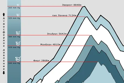 Проверка изменений атмосферного давления с течением времени Модуль № 5601  PRO TREK — Поддержка — CASIO