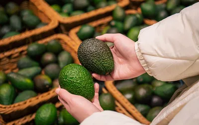 Ода авокадо: чем полезно, какие сорта бывают и как выбрать то самое |  Новости и статьи ВкусВилл: Москва и область