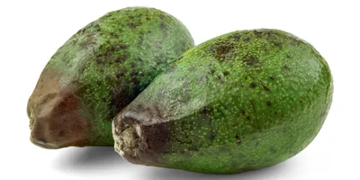 Как правильно есть авокадо: пошаговая инструкция с советами шеф-поваров