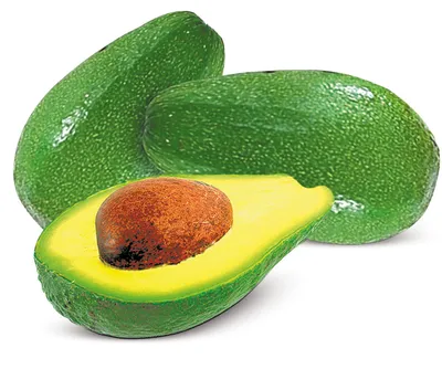 Как вырастить авокадо в домашних условиях: нужны лишь косточка и зубочистка  - МЕТА