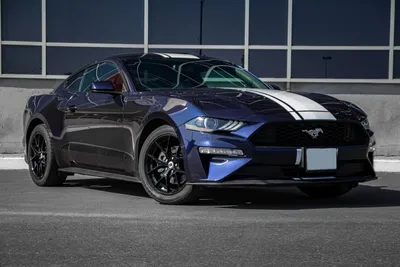 Дьявол во плоти! - Отзыв владельца автомобиля Ford Mustang 2021 года ( VI  Рестайлинг ): Shelby GT500 5.2 AMT (760 л.с.) | Авто.ру