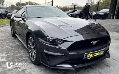 Купить новый Купе Ford Mustang Shelby® GT500 2020 5.2 V8 Supercharged  Бензин 760 л.с. в наличии и на заказ в Москве.