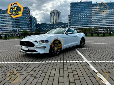 https://daydream.ru/moscow/cars/arenda-ford-v-moskve/ford-mustang-gt-5.0-v-moskve/