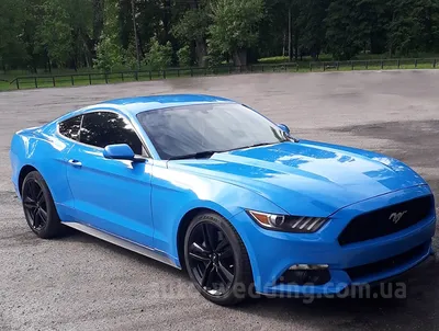 Прокат автомобиля Ford Mustang - 2014 года