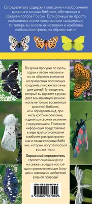 В Коми хранится одна из самых потрясающих и ценных коллекций бабочек по  всему Северо-Западу - KP.RU