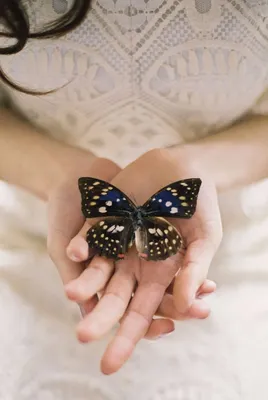 Девушка и бабочки в животе» — создано в Шедевруме