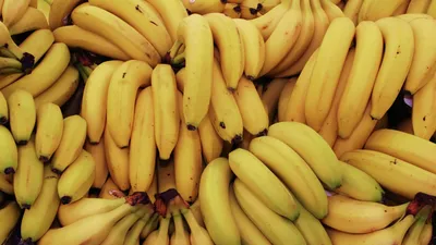 Бананы: польза и вред для организма мужчин, женщин, детей