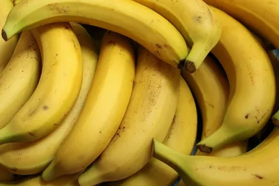 Самый распространенный сорт бананов скоро вымрет: его пожирает грибок –  Москва 24, 25.05.2021