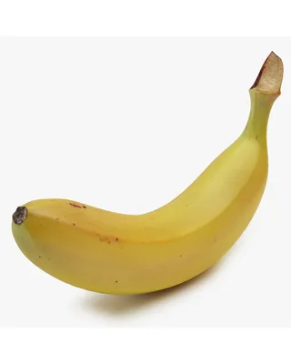 Бананы: полезная трава или жуткая отрава? Отвечает врач-диетолог - РИА  Новости Спорт, 01.01.2022
