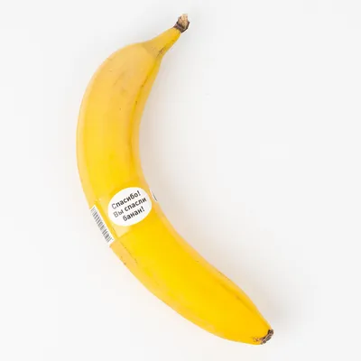 Голодный студент съел в музее арт-объект в виде банана на стене | РБК Life