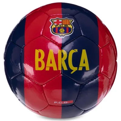 Футбольный клуб «Барселона» - Организация