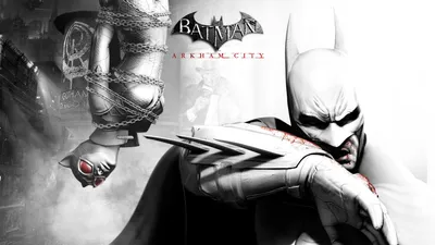 обои : видео игры, Бэтмен, Batman Arkham City, Полночь, Темнота, Скриншот,  Обои для рабочего стола компьютера, вымышленный персонаж 2048x1152 -  Dreadnaught - 263031 - красивые картинки - WallHere