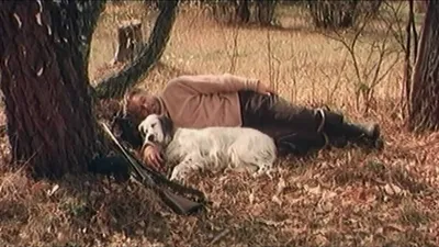 Белый Бим Черное ухо, 1976 — смотреть фильм онлайн в хорошем качестве —  Кинопоиск
