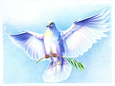 Белый голубь с красивым пушистым …» — создано в Шедевруме