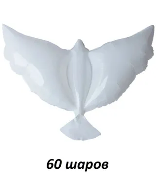 Белый голубь, красиво, реалистично, 30…» — создано в Шедевруме