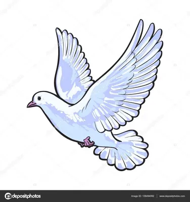 Бесплатно Летающий белый голубь, изолированный эскиз стиль иллюстрации —  стоковая иллюстрация | Милые рисунки, Искусство птицы, Рисунки