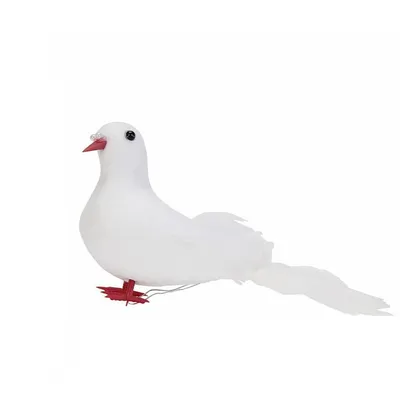 Белый голубь сидит на сцене Фон И картинка для бесплатной загрузки - Pngtree