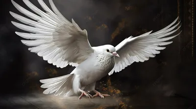 Нарисованный белый голубь - 69 фото
