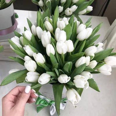 15 белых тюльпанов | доставка по Москве и области