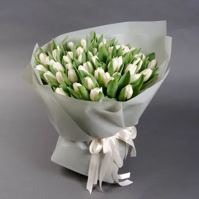 Купить 35 белых тюльпанов в интернет-магазине \"ШарикClub\"