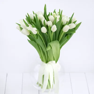Букет из белых тюльпанов (25 шт) купить с доставкой в интернет-магазине за  2890р. Позиция № 51