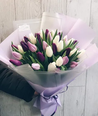 Белые тюльпаны - купить в Москве | Flowerna