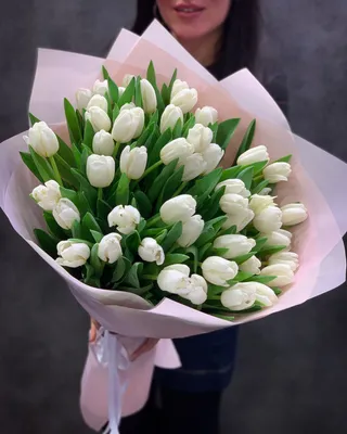 25 белых тюльпанов - купить цветы с доставкой | BUKETLAND