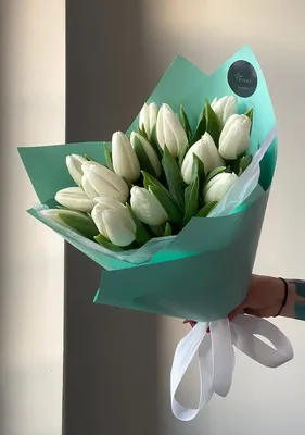 15 белых тюльпанов Верона | доставка по Москве и области