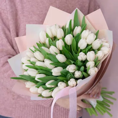 Букет из белых тюльпанов купить в Краснодаре недорого - доставка 24 часа