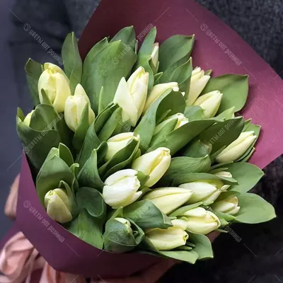 1️⃣ Заказать 15 белых тюльпанов с доставкой в Cамарканде