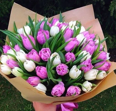 Букет из 5 белых тюльпанов купить в Москве по цене 2390₽ | Арт. 104-816