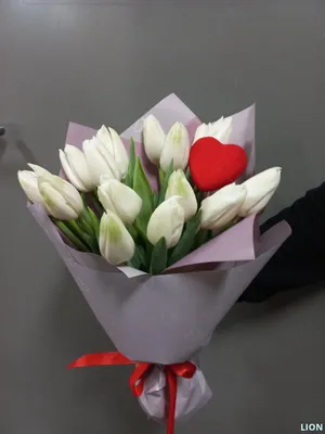 Купить Букет из 49 белых тюльпанов | VIAFLOR