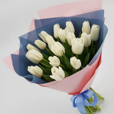 Букет из красных и белых тюльпанов доставка в Курске | Вернисаж