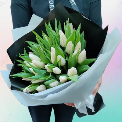 Белые тюльпаны в женских руках Стоковое Фото - изображение насчитывающей  взятие, мило: 114330712